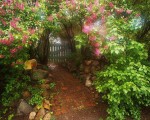 Jardinage à domicile Saint-Mamert-du-Gard
