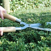 Jardinage à domicile Périgueux