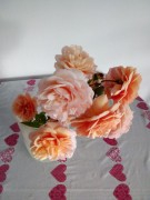 Ménage à domicile Villemur-sur-Tarn